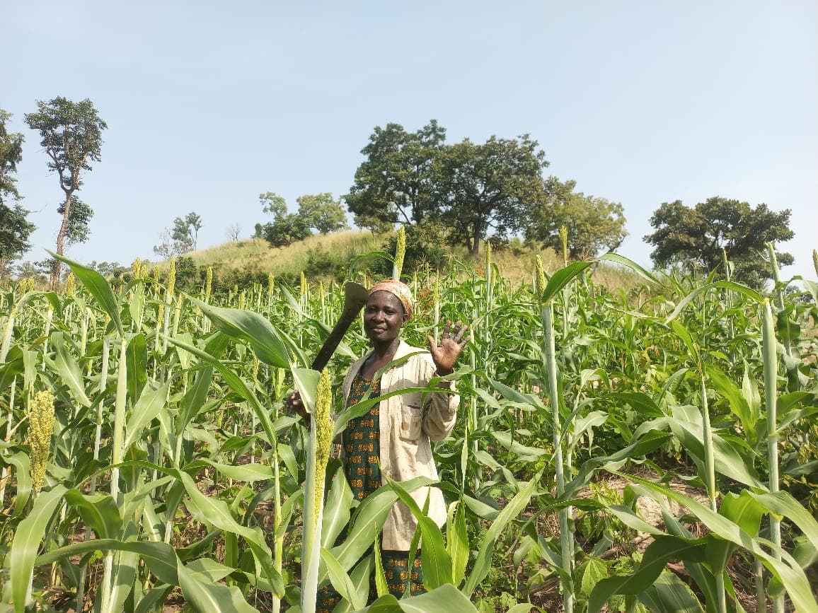 Farmers working across a wide green field
