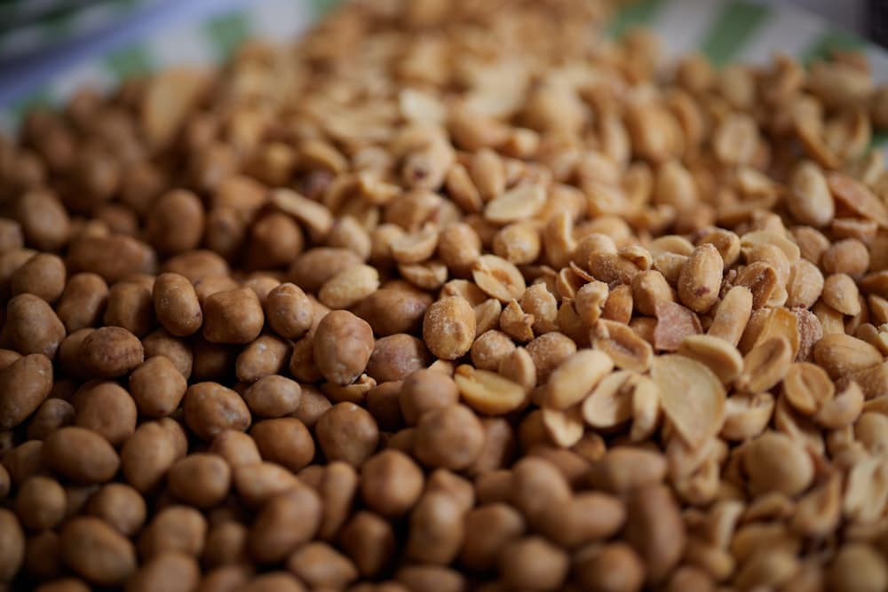 Groundnut