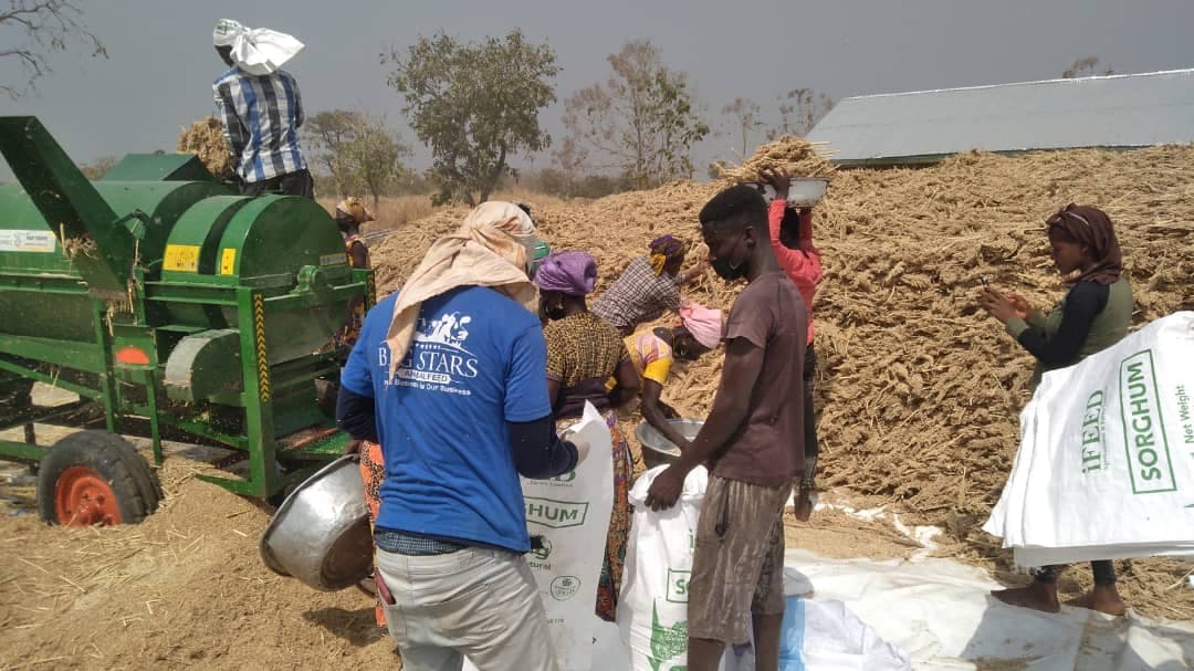 Farmers working together on a smallholder plot