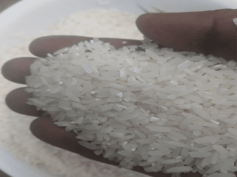 Paddy & Milled Rice